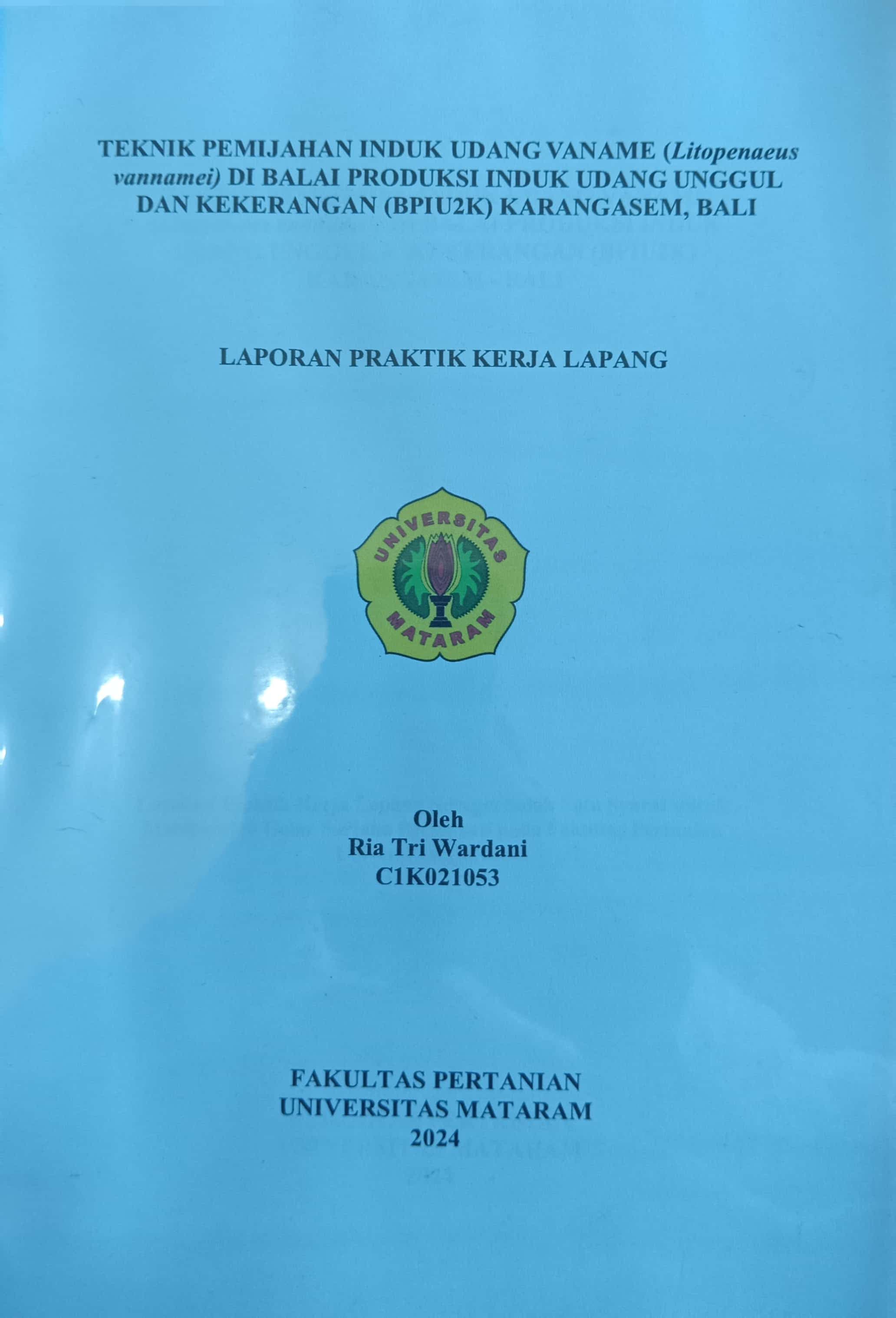 20240716005426_ria tri wardani.jpg